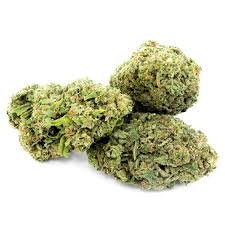 The best cbd wholesaler (grossista cbd) to buy your products